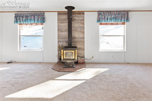 1067 Rangeview Road Divide, CO 80814 - Photo 25 of 28 Gallery Image 25