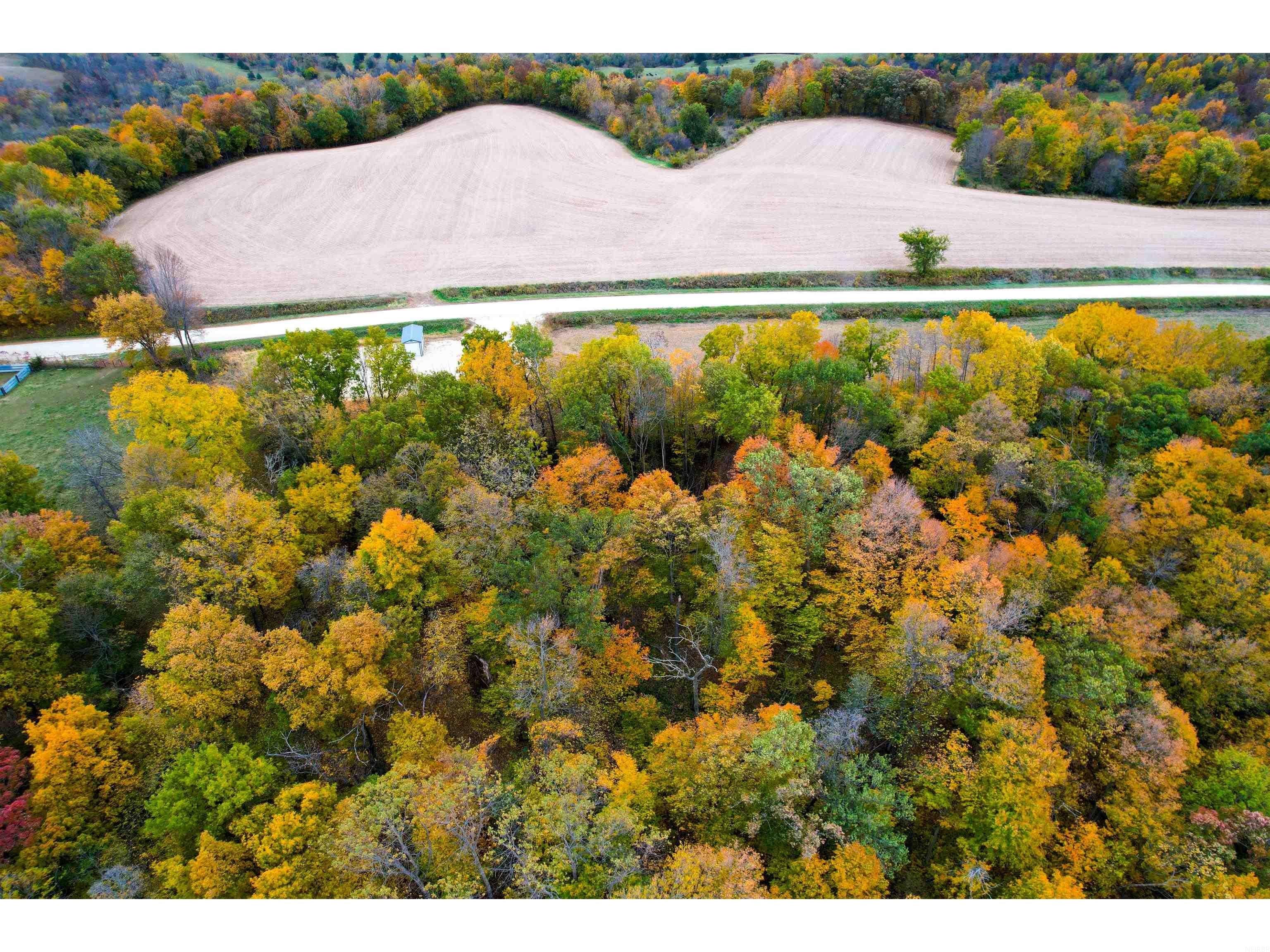 21319 Fantail Road Edgewood, IA 52042 - Photo 6 of 25 Gallery Image 6