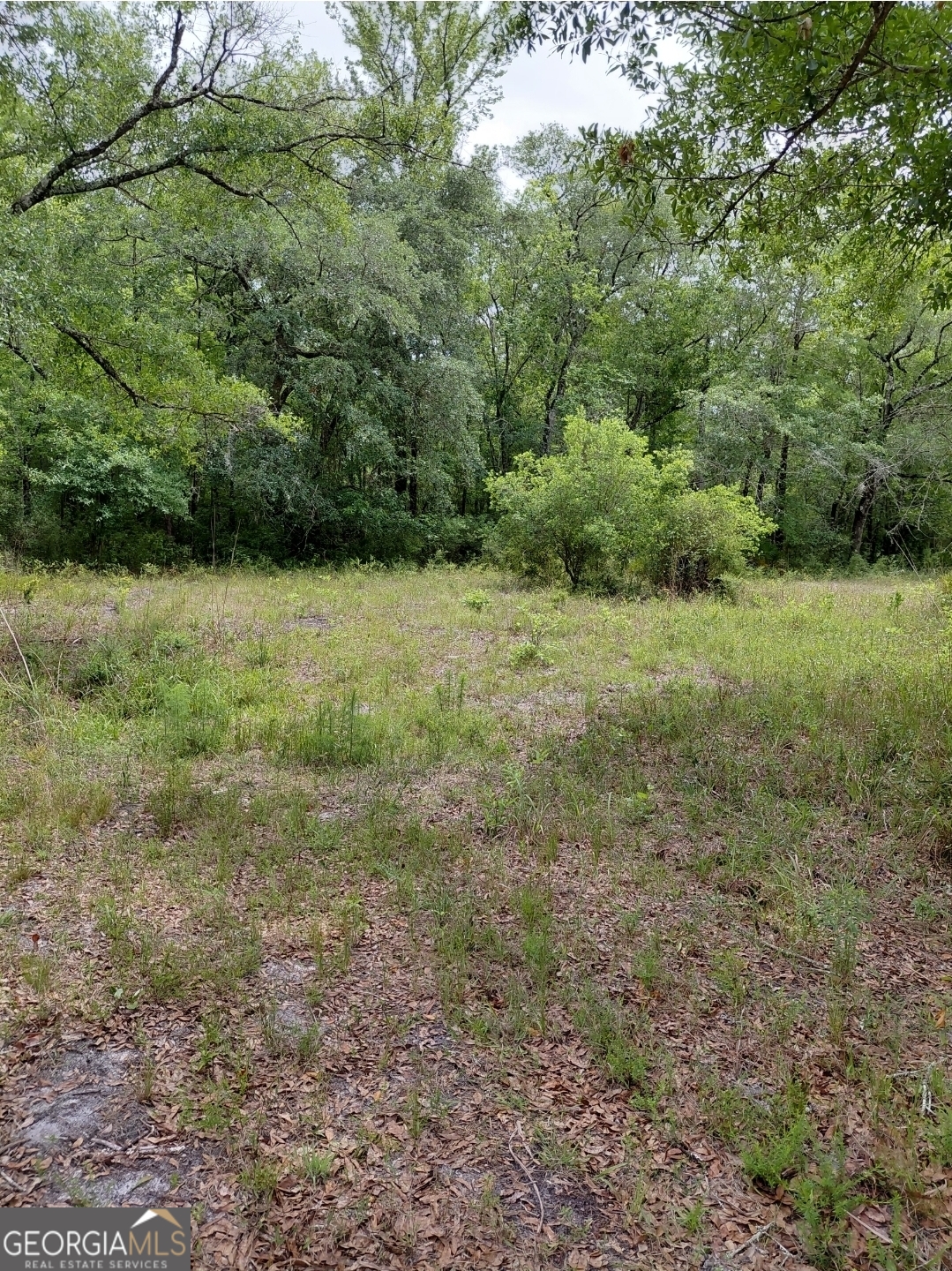 436 Russell Boulevard St. George, GA 31562 - Photo 32 of 33