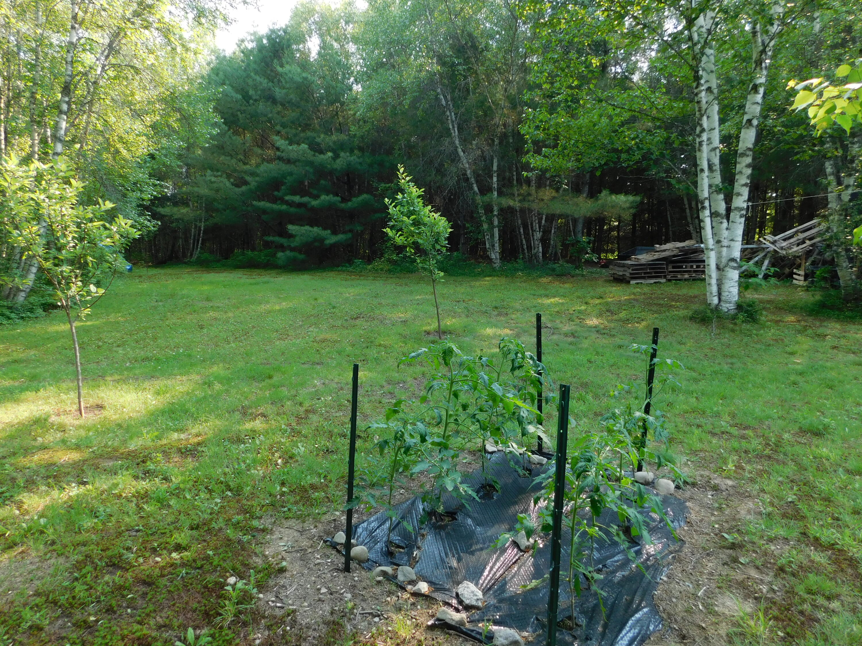 235 Nicolin Road Ellsworth, ME 04605 - Photo 54 of 152 DSCN1119