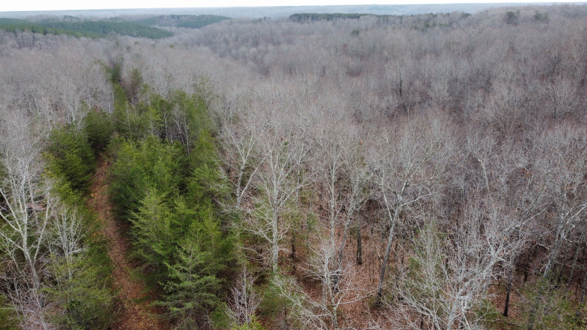 545 Howard Switch Road Hohenwald, TN 38462 - Photo 1 of 23 Gallery Image 1
