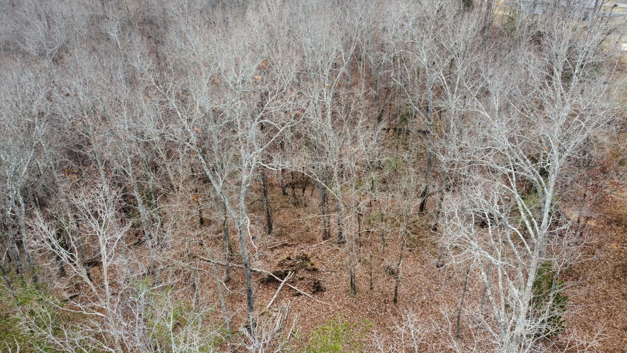 545 Howard Switch Road Hohenwald, TN 38462 - Photo 12 of 23 Gallery Image 12