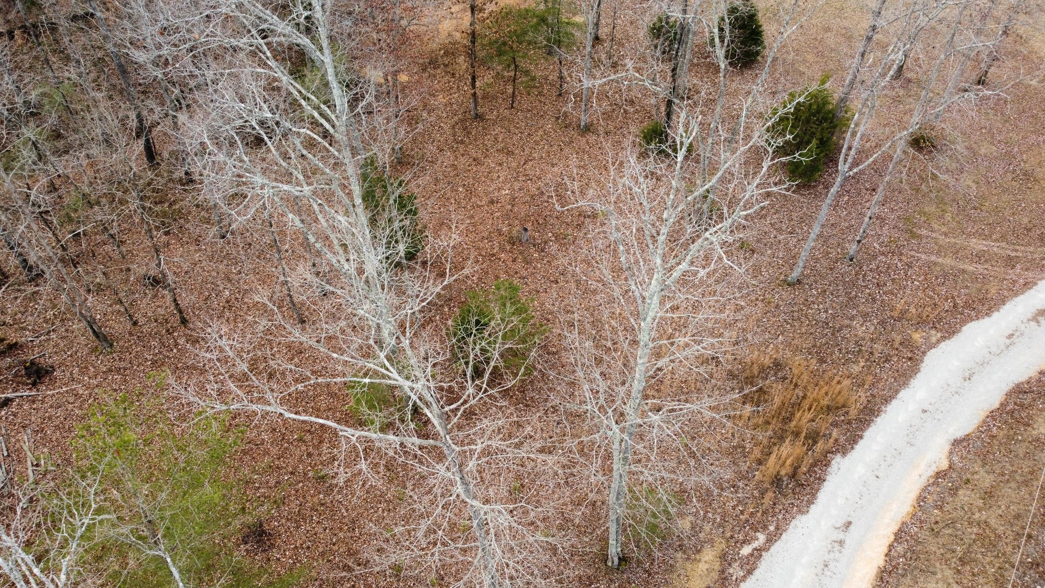 545 Howard Switch Road Hohenwald, TN 38462 - Photo 13 of 23 Gallery Image 13