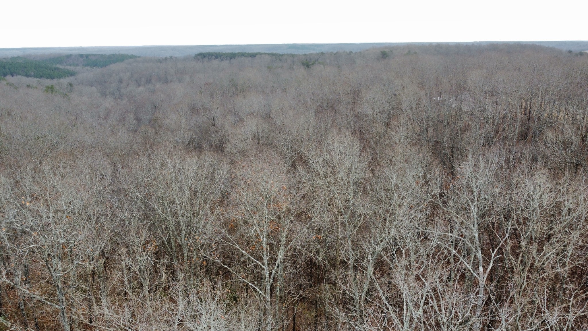 545 Howard Switch Road Hohenwald, TN 38462 - Photo 14 of 23 Gallery Image 14