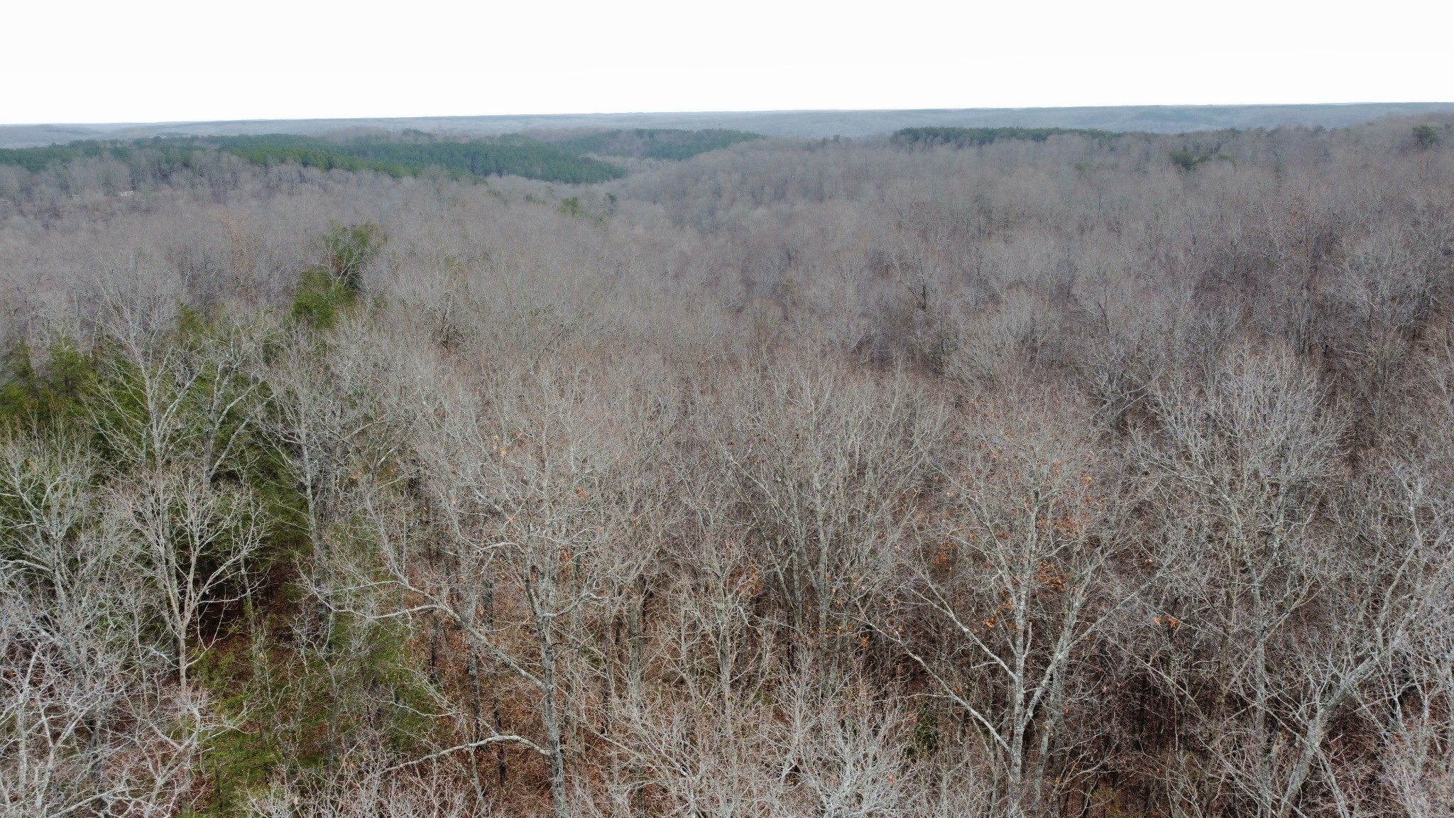 545 Howard Switch Road Hohenwald, TN 38462 - Photo 15 of 23 Gallery Image 15