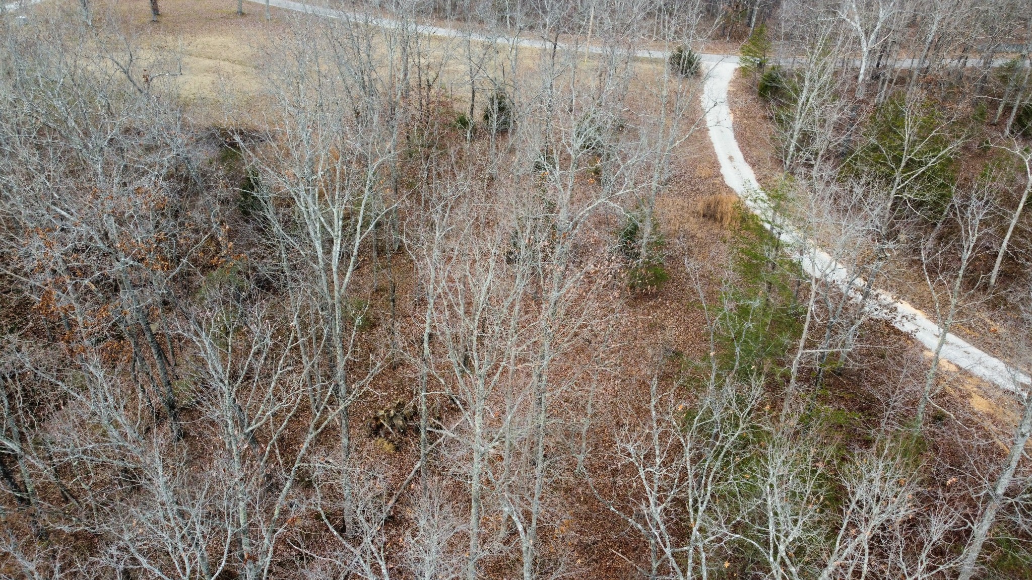 545 Howard Switch Road Hohenwald, TN 38462 - Photo 19 of 23 Gallery Image 19