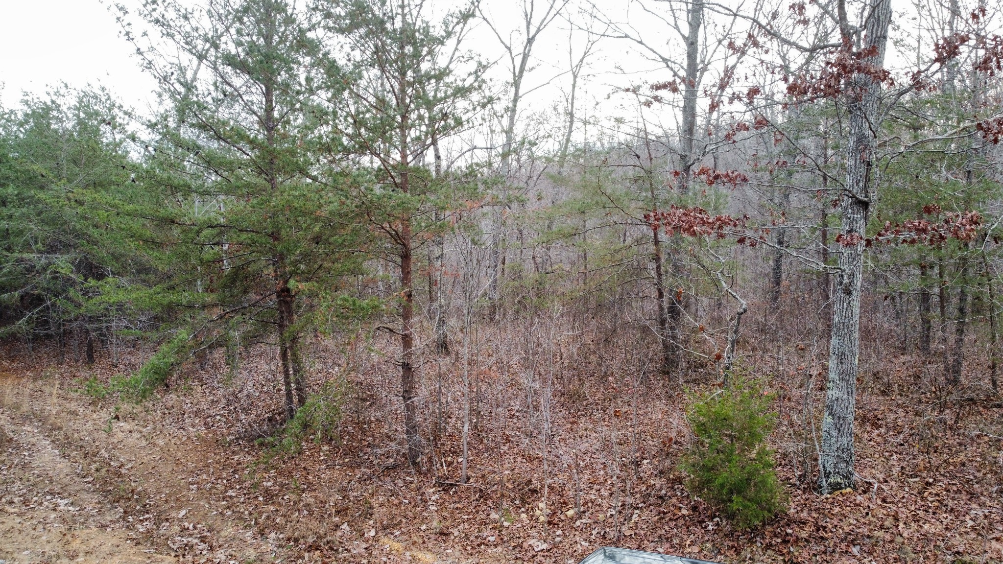 545 Howard Switch Road Hohenwald, TN 38462 - Photo 21 of 23 Gallery Image 21