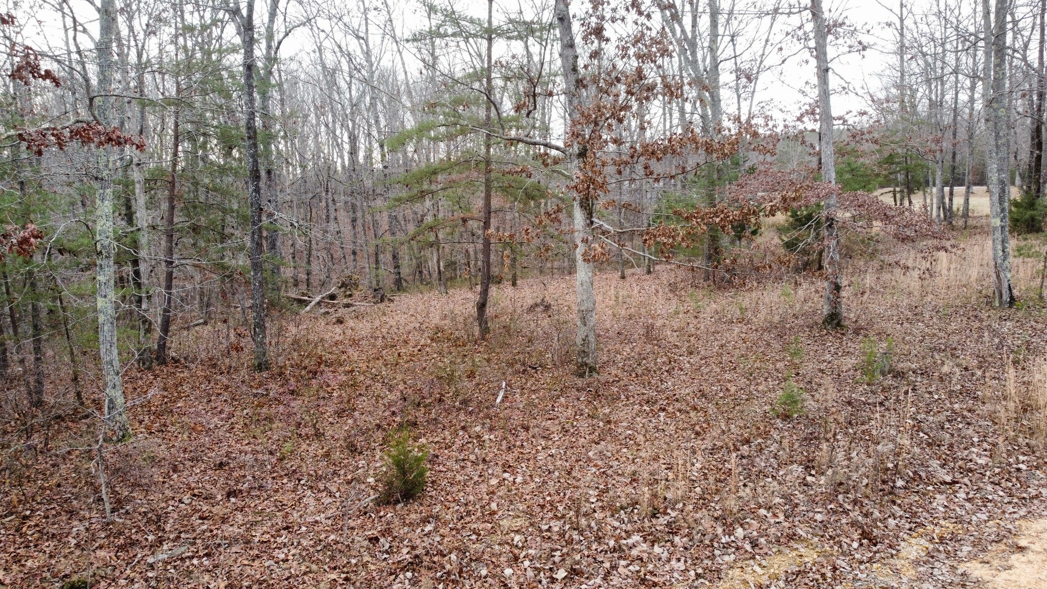 545 Howard Switch Road Hohenwald, TN 38462 - Photo 23 of 23 Gallery Image 23