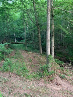 545 Howard Switch Road Hohenwald, TN 38462 - Photo 8 of 23 Gallery Image 8
