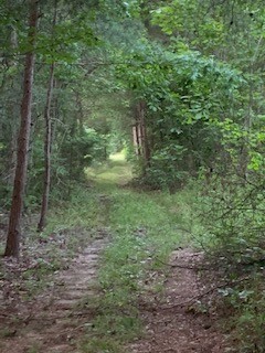 545 Howard Switch Road Hohenwald, TN 38462 - Photo 9 of 23 Gallery Image 9