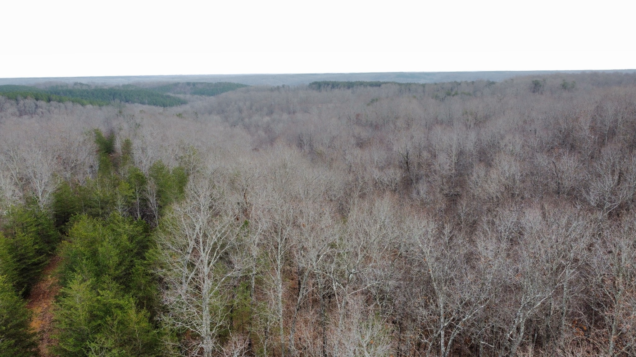 545 Howard Switch Road Hohenwald, TN 38462 - Photo 10 of 23 Gallery Image 10