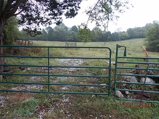 0 County Line Road Alexandria, TN 37012 - Photo 2 of 20 a view of a yard with a lake view