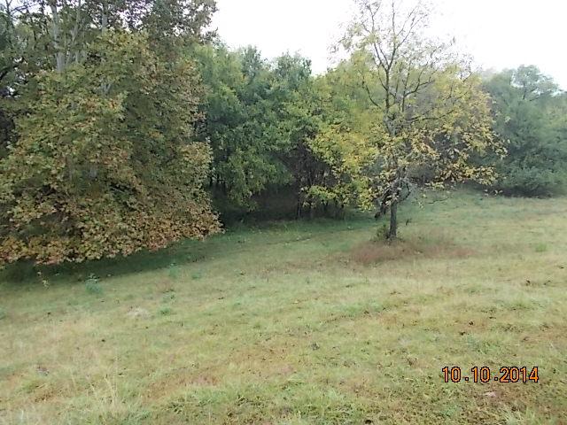 0 County Line Road Alexandria, TN 37012 - Photo 15 of 20 a view of a yard with a sink