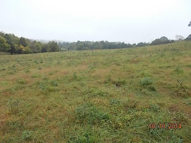 0 County Line Road Alexandria, TN 37012 - Photo 17 of 20 a view of a field with trees in the background