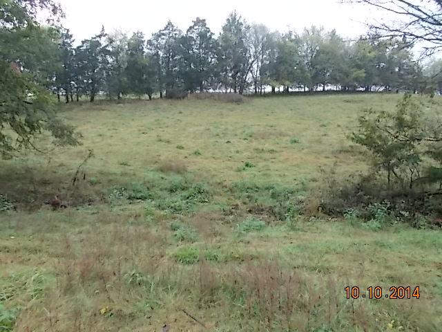 0 County Line Road Alexandria, TN 37012 - Photo 18 of 20 a view of outdoor space and yard