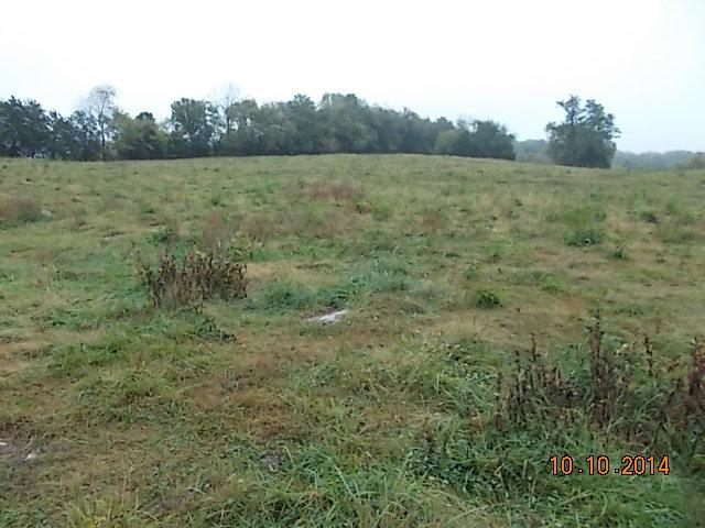 0 County Line Road Alexandria, TN 37012 - Photo 3 of 20
