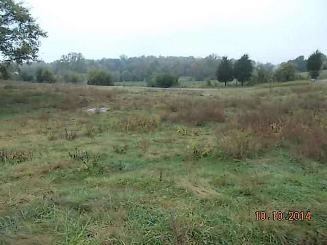 0 County Line Road Alexandria, TN 37012 - Photo 4 of 20 a view of an outdoor space and a yard
