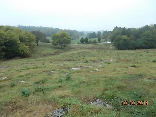 0 County Line Road Alexandria, TN 37012 - Photo 5 of 20 a view of a field with trees in the background