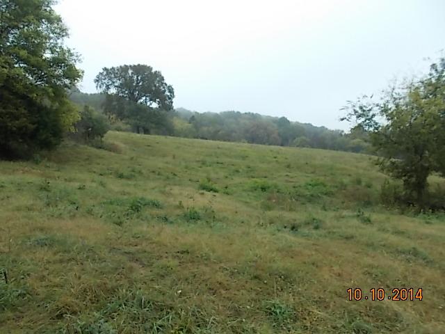 0 County Line Road Alexandria, TN 37012 - Photo 8 of 20