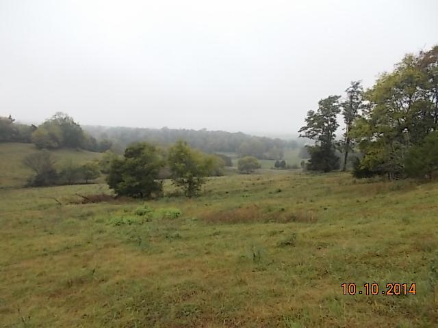 0 County Line Road Alexandria, TN 37012 - Photo 9 of 20 a view of a field with an trees