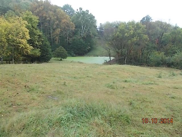 0 County Line Road Alexandria, TN 37012 - Photo 10 of 20 a view of a dry yard