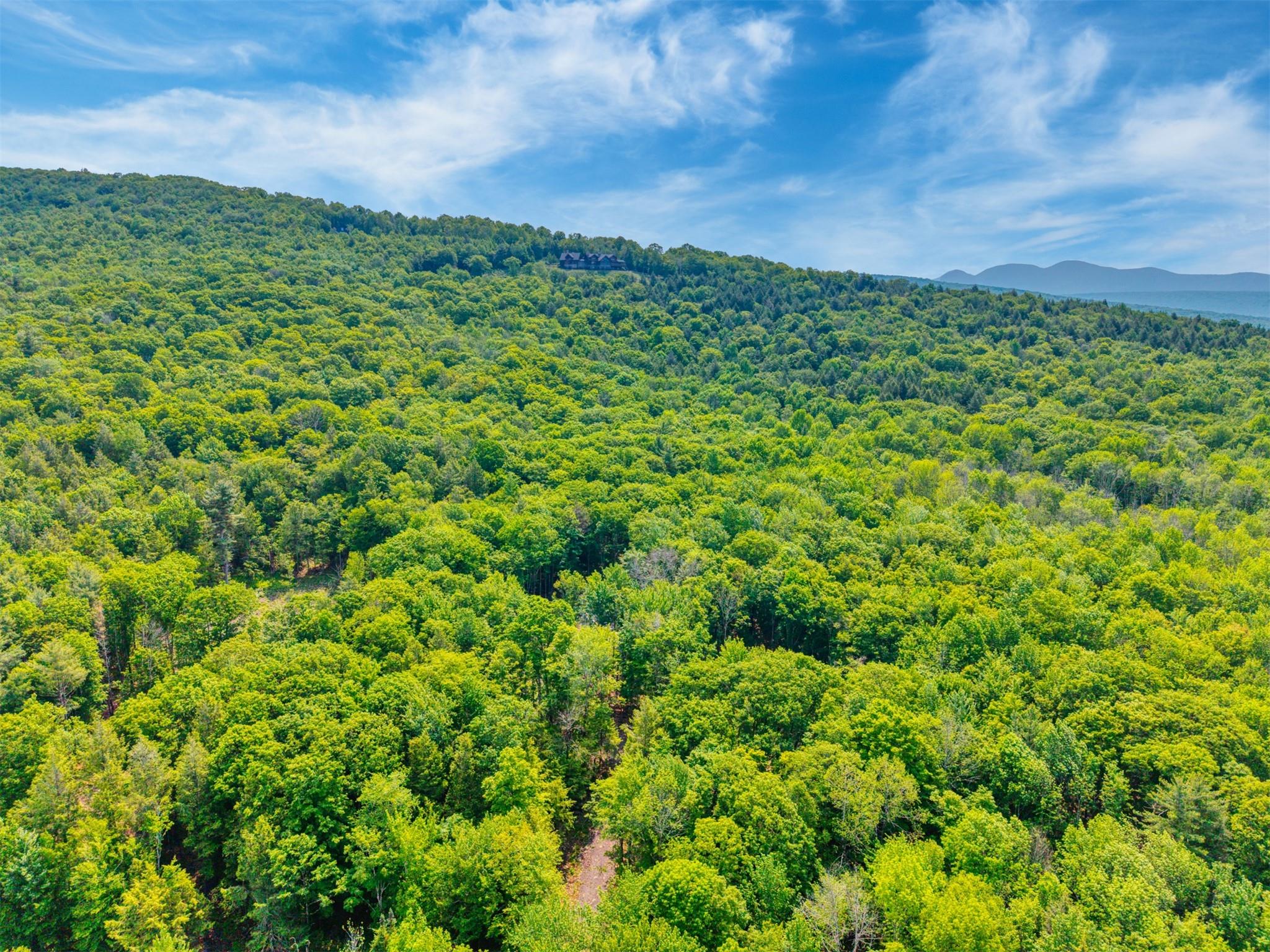 Tbd Boulder Brook Road Windham, NY 12496 - Photo 13 of 37 Aerial view of a heavily wooded area and a mountain backdrop