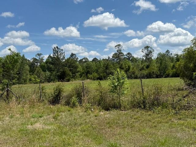 16575 Old Post Road Waynesville, GA 31566 - Photo 40 of 65 Photo 39
