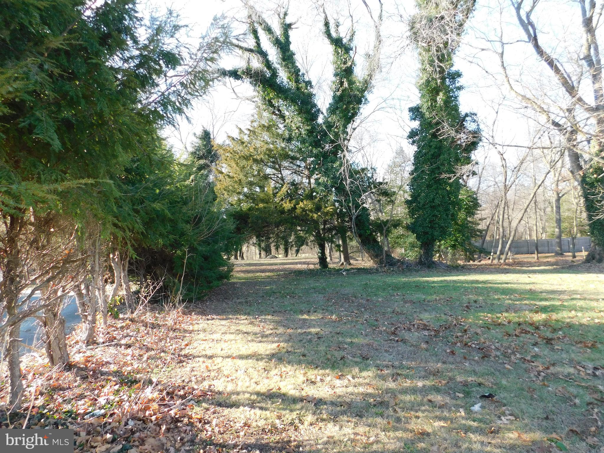 954 South Main Road Vineland, NJ 08360 - Photo 6 of 42 Gallery Image 6