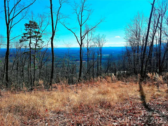 a view of backyard of a house
