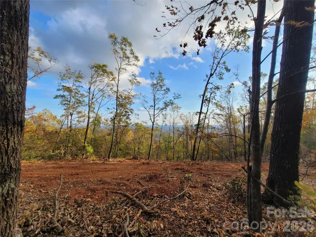 a view of mountain view