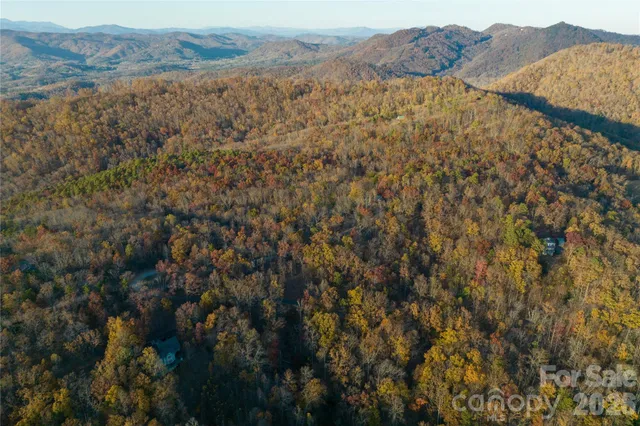a view of a field of mountains and tree