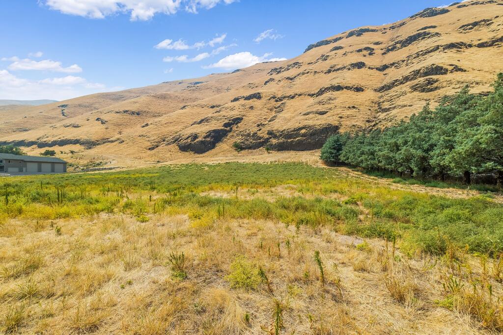 Nka Snake River Road Asotin, WA 99402 - Photo 18 of 29 Gallery Image 18
