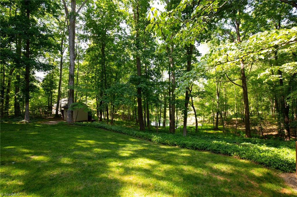 8308 Maloe Court Oak Ridge, NC 27310 - Photo 29 of 39 Backyard