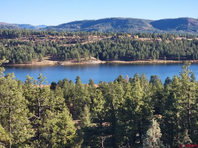 a view of a lake in middle of the forest