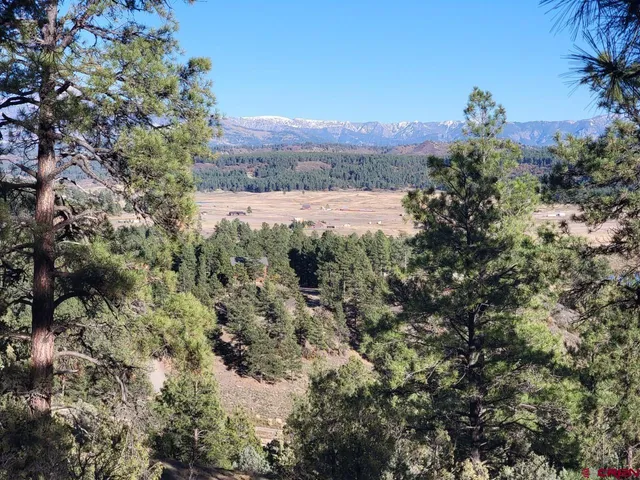 a view of a and covered with trees in the background