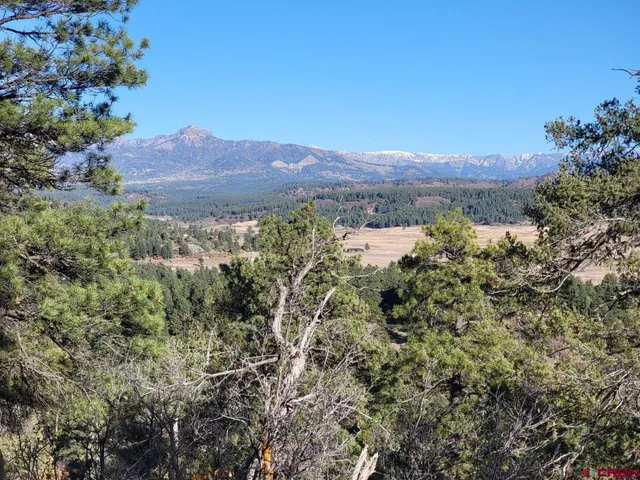 a bird view of a garden