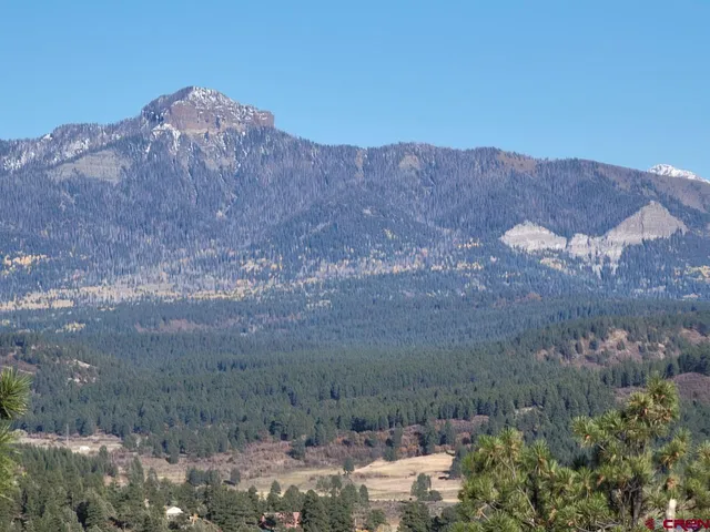 a view of mountain and tree