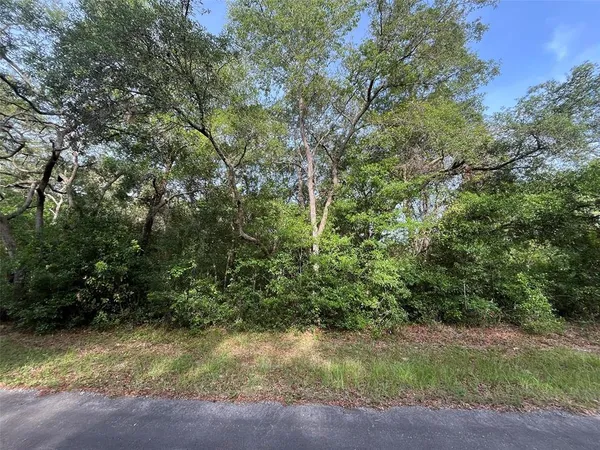 a view of a yard with plants and trees
