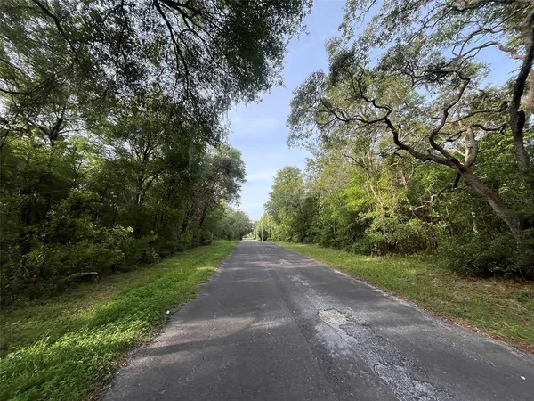 a view of a road with a yard