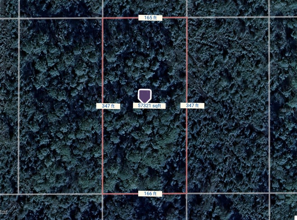 Tbd Tbd County Road New Smyrna Beach, FL 32168 - Photo 2 of 2