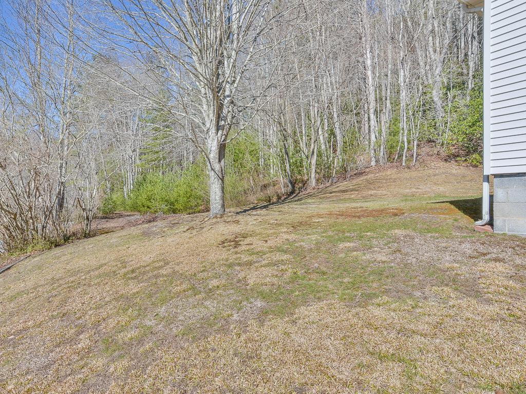 2397 Spivey Mountain Road Erwin, TN 37650 - Photo 30 of 36 Photo 30