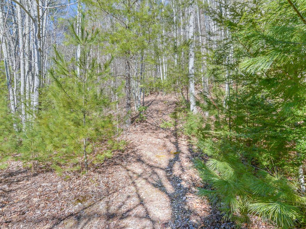 2397 Spivey Mountain Road Erwin, TN 37650 - Photo 31 of 36 Photo 31