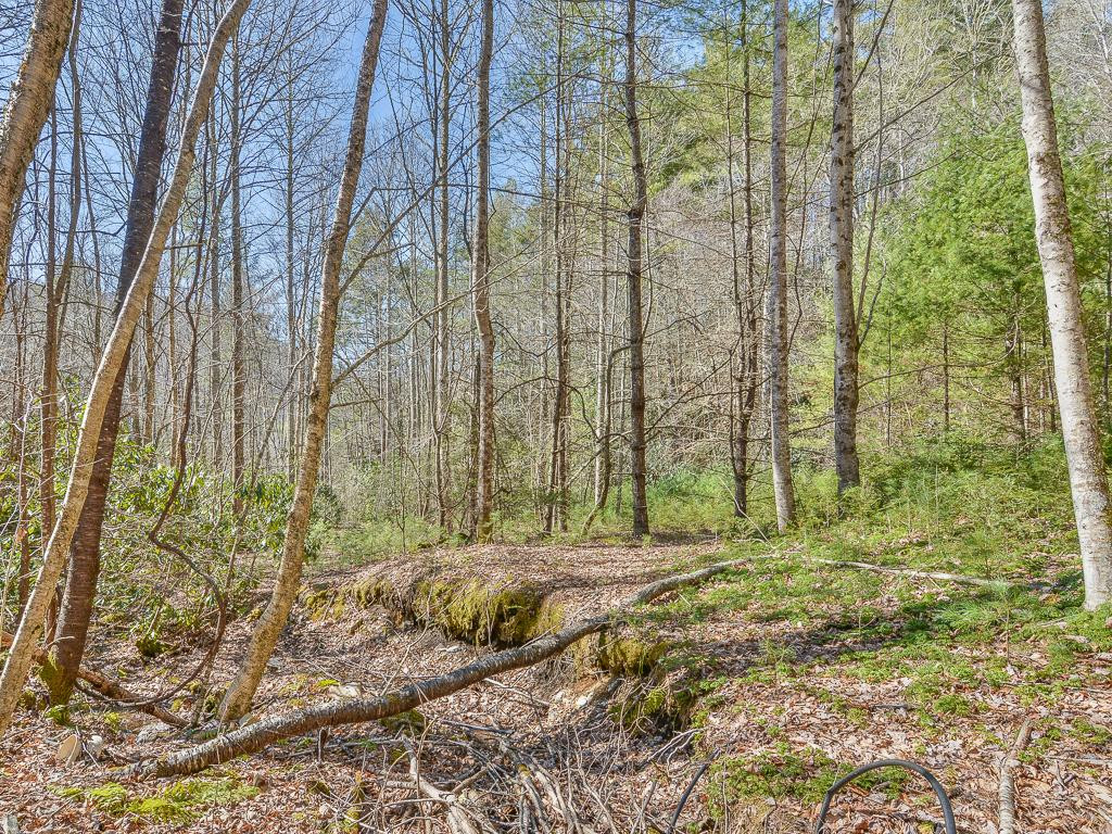 2397 Spivey Mountain Road Erwin, TN 37650 - Photo 32 of 36 Photo 32