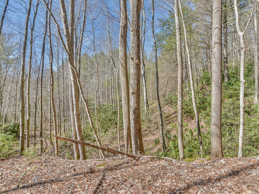 2397 Spivey Mountain Road Erwin, TN 37650 - Photo 34 of 36 Photo 34