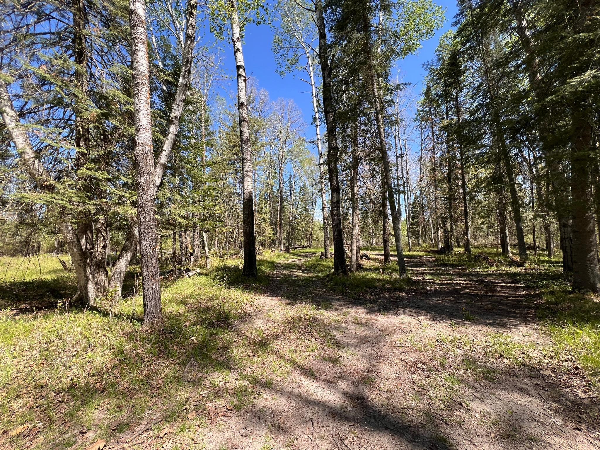 Tbd Necktie Loop Lake George, MN 56458 - Photo 3 of 8