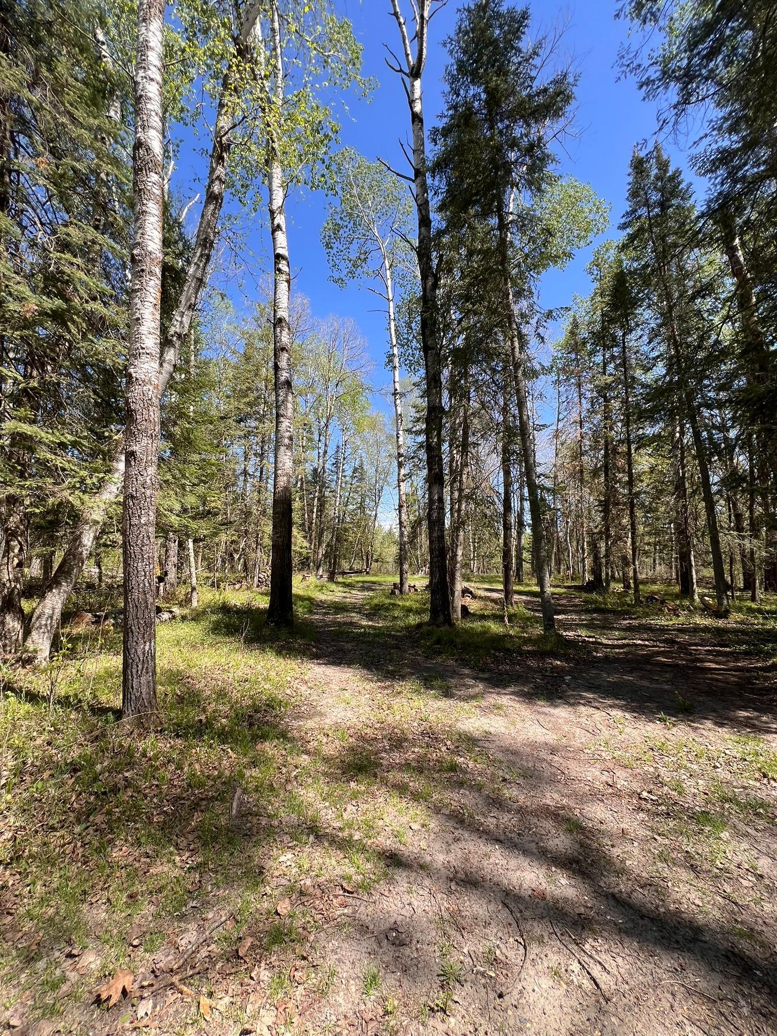 Tbd Necktie Loop Lake George, MN 56458 - Photo 5 of 8