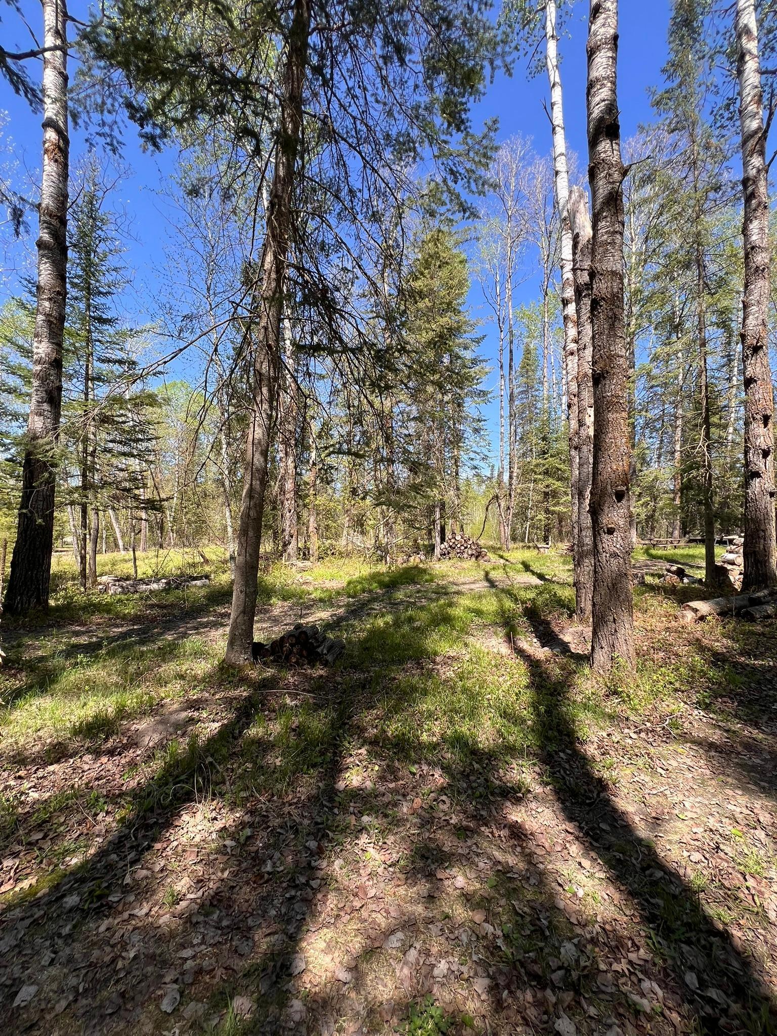 Tbd Necktie Loop Lake George, MN 56458 - Photo 6 of 8