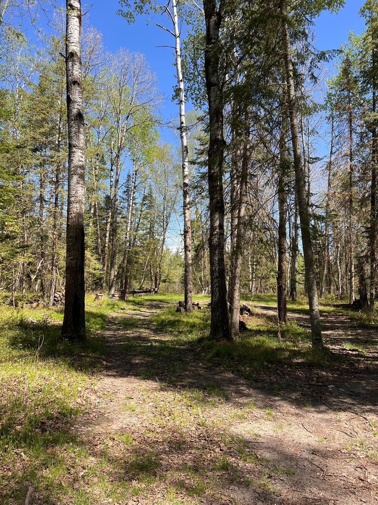 Tbd Necktie Loop Lake George, MN 56458 - Photo 7 of 8