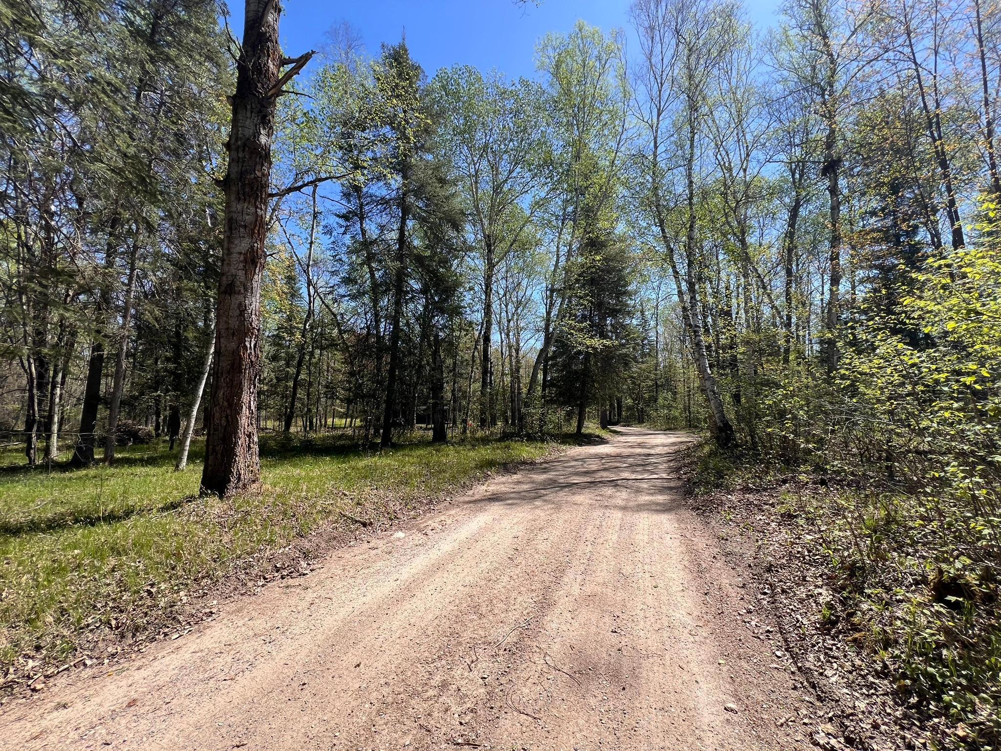 Tbd Necktie Loop Lake George, MN 56458 - Photo 8 of 8