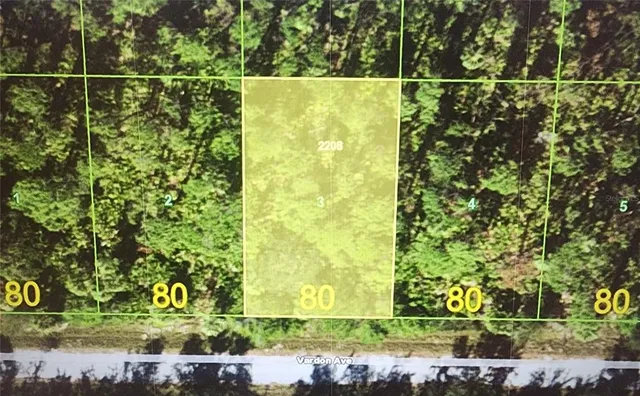 a view of a swimming pool with a yard